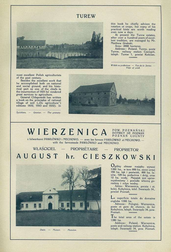 203 turew.jpg